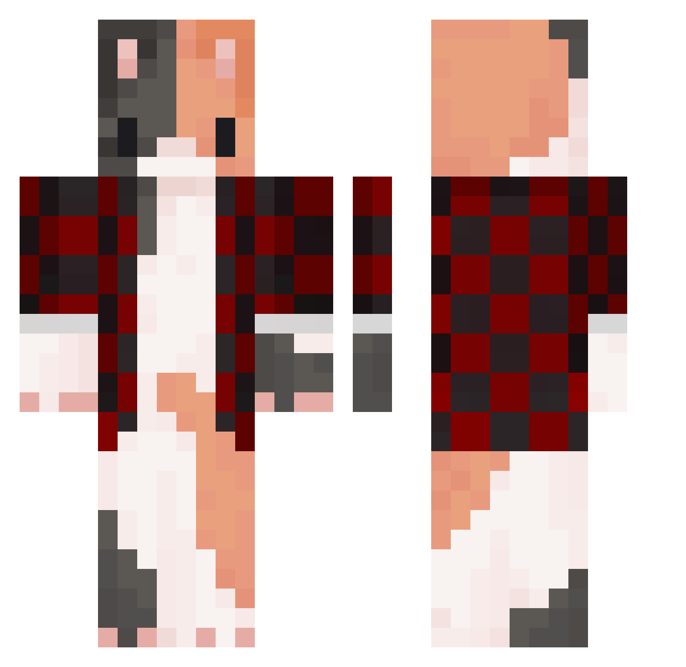 Wildkatze237 Minecraft skin, front and back view