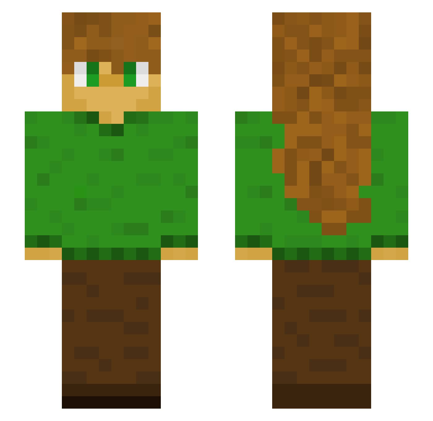 zolw_rzeczny Minecraft skin, front and back view