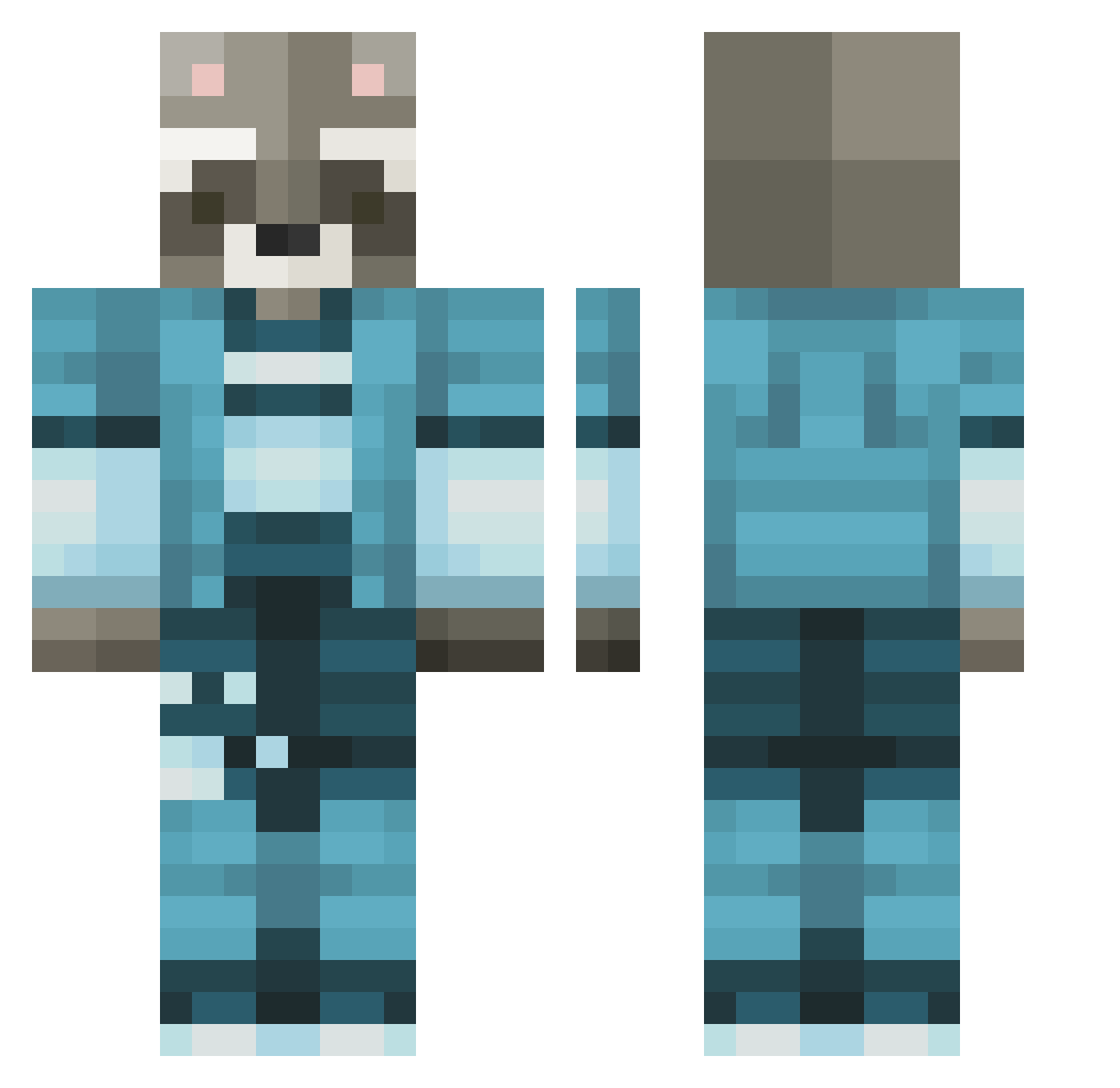 TrashPanda8472 Minecraft skin, front and back view
