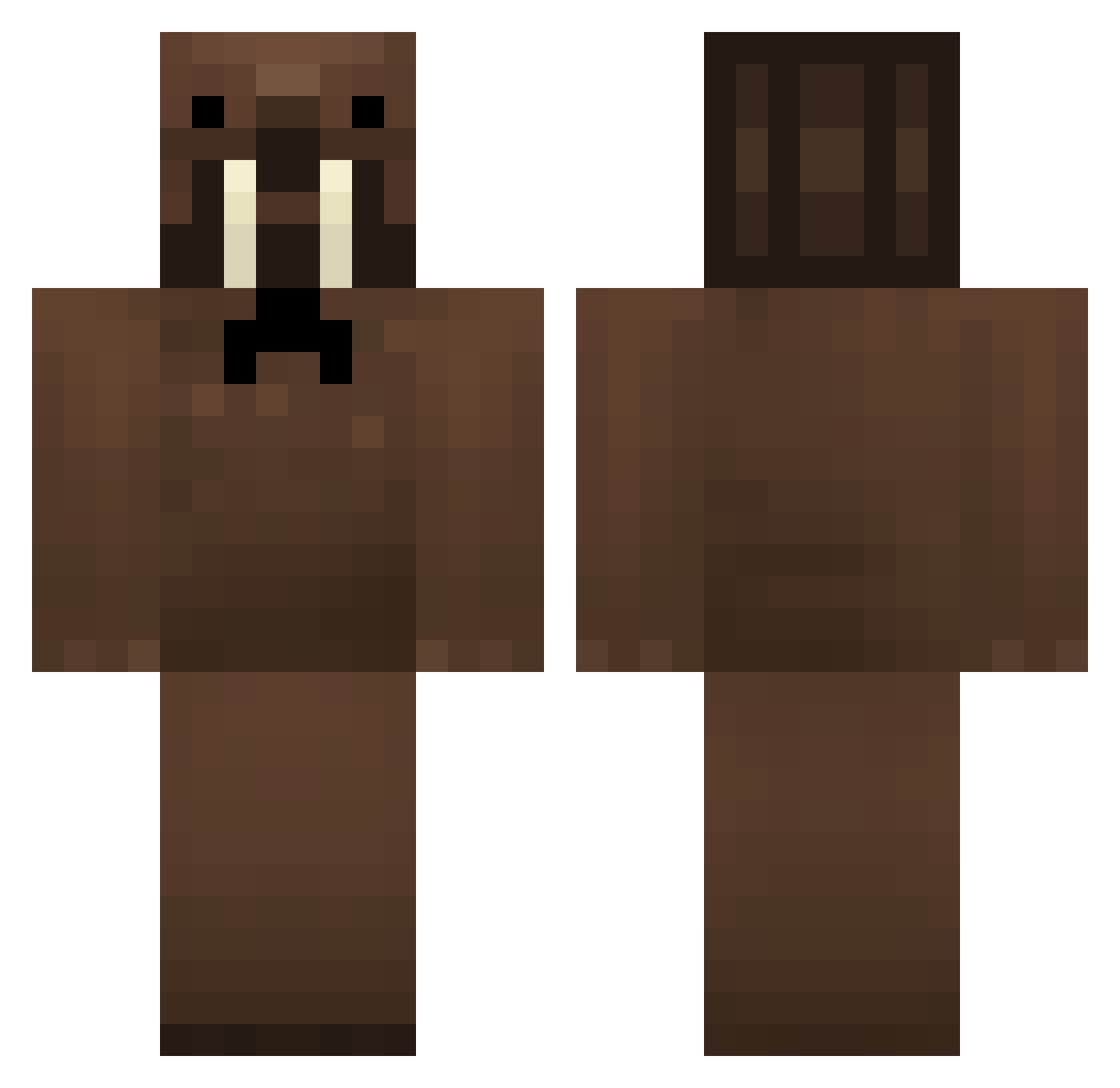 coolxplorer Minecraft skin, front and back view