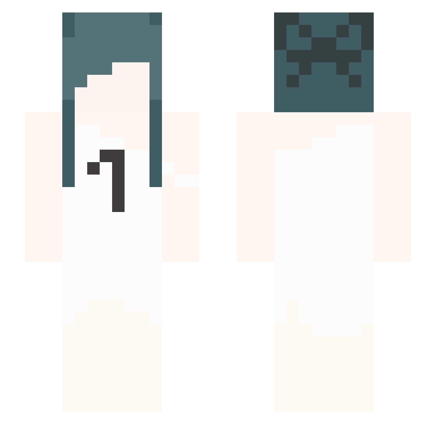 N1ZU Minecraft skin, front and back view