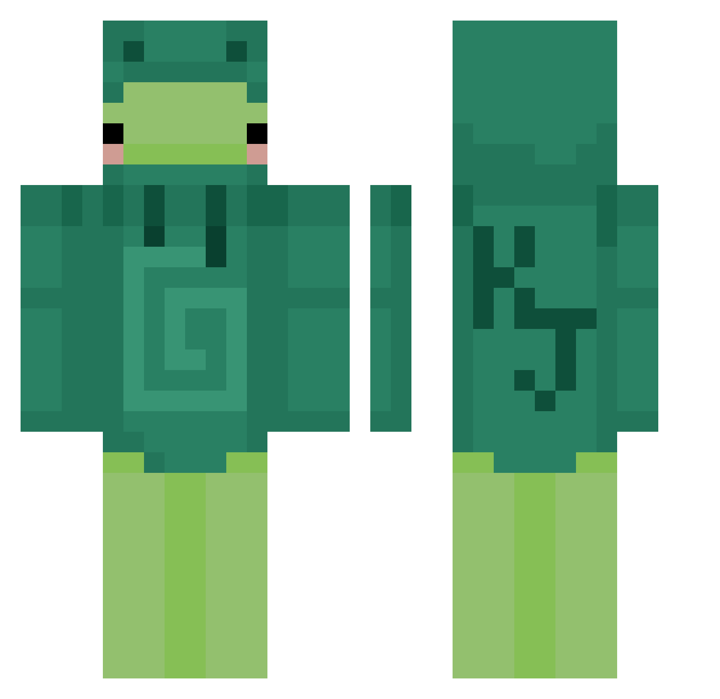 v1sso9 Minecraft skin, front and back view