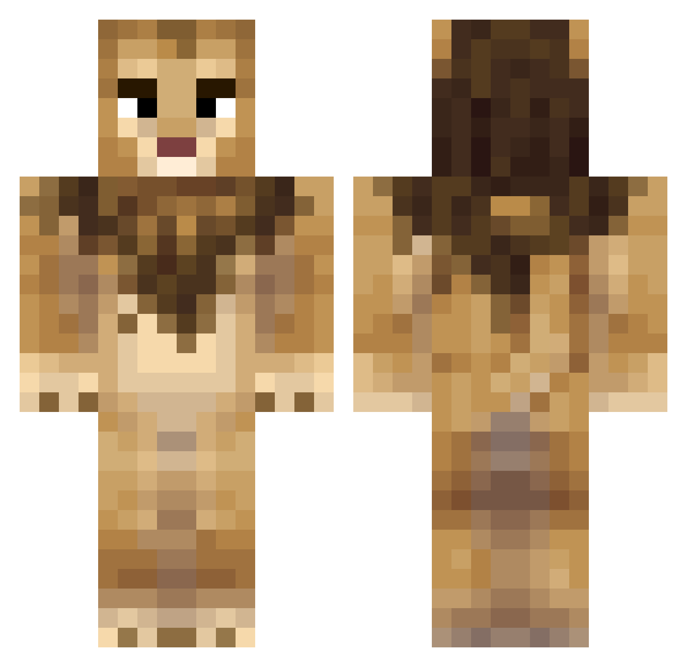 AngryLionSim Minecraft skin, front and back view