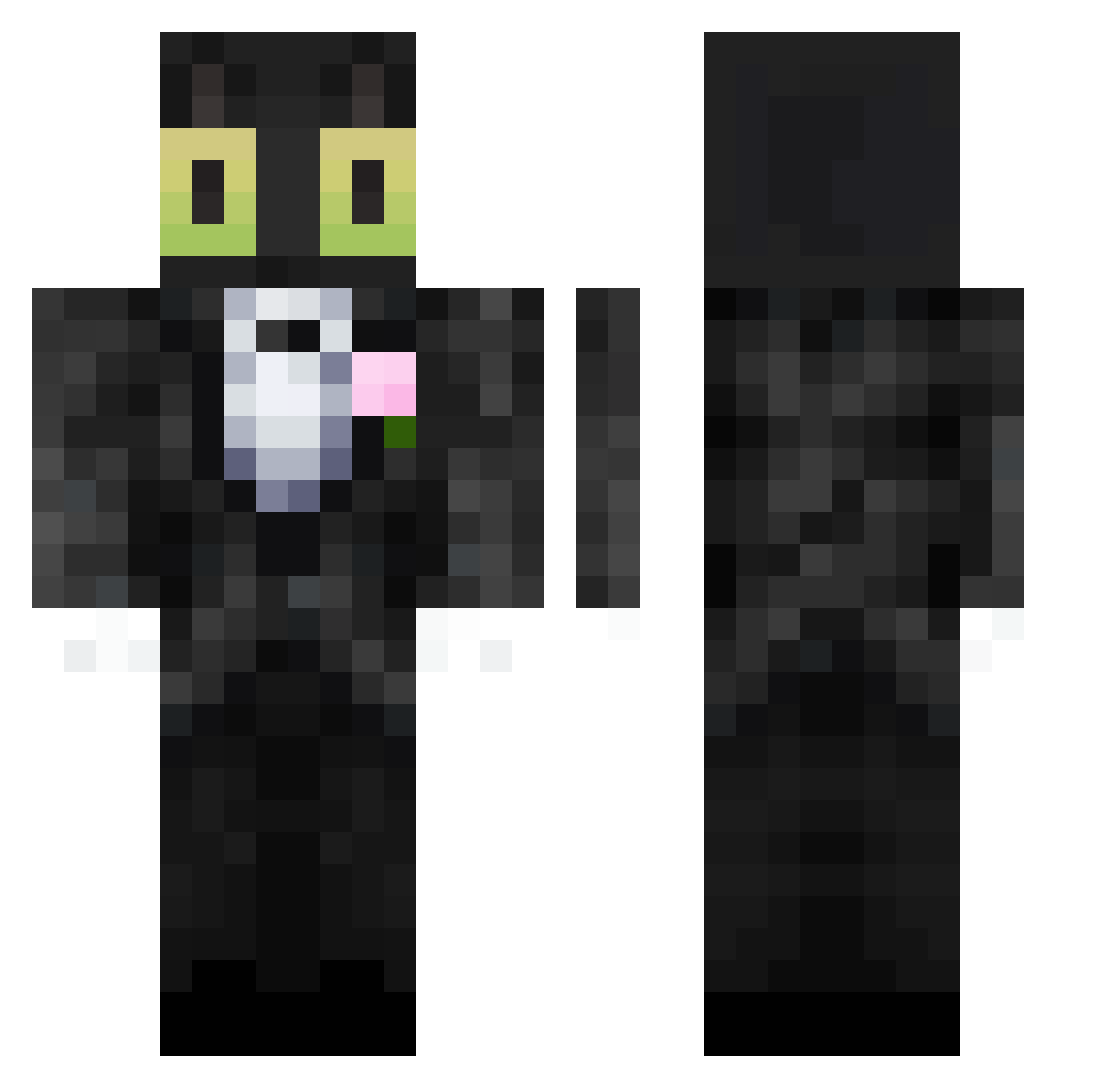 The_canard Minecraft skin, front and back view