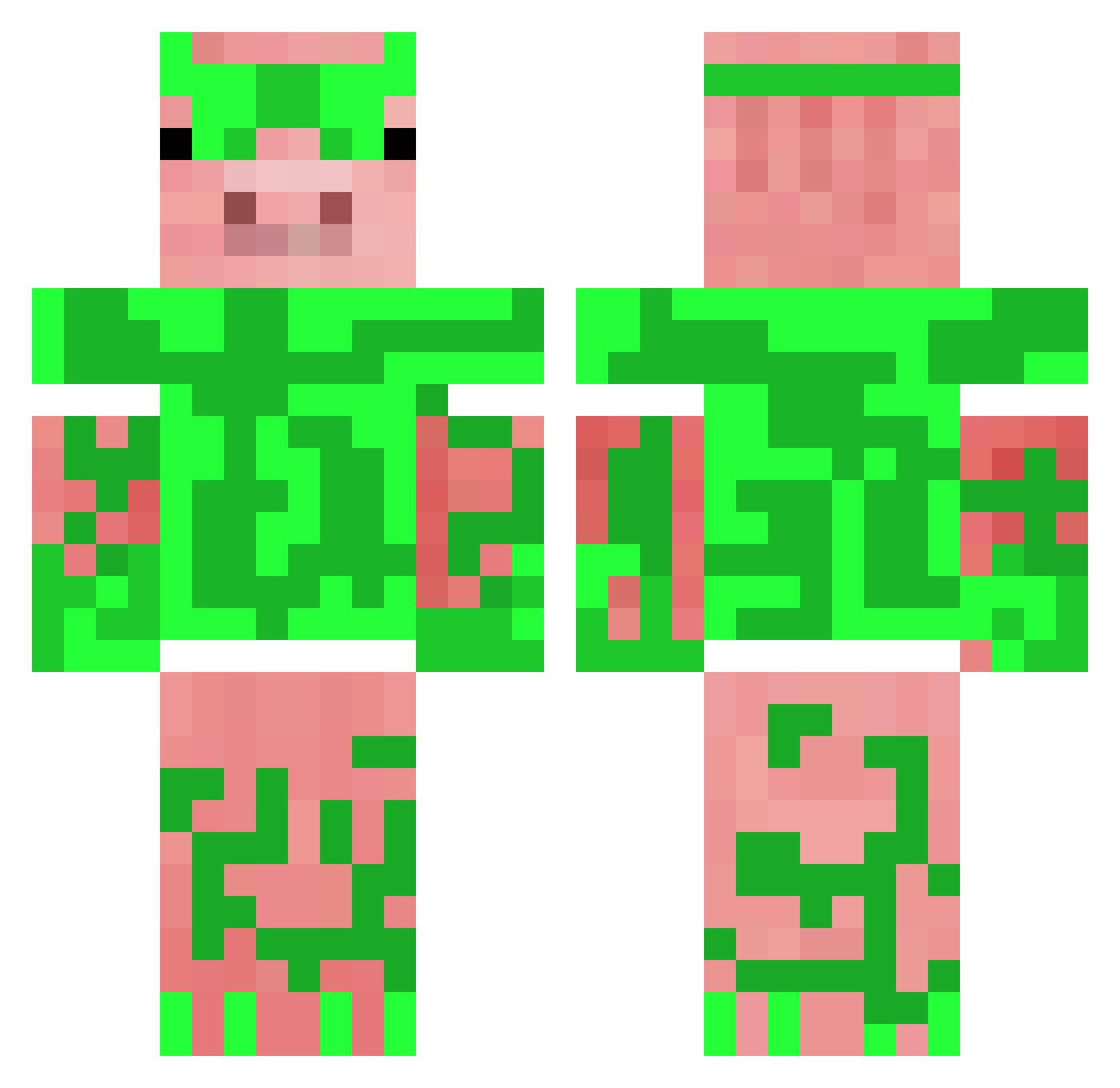 Appleek12 Minecraft skin, front and back view