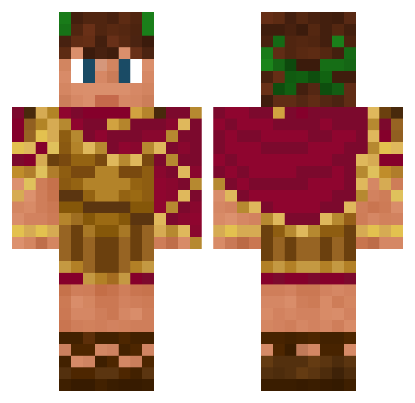 coolchronicles2 Minecraft skin, front and back view