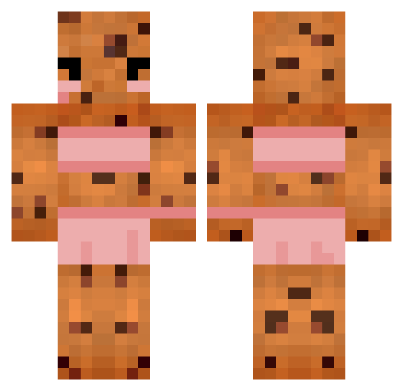 Timderkeks Minecraft skin, front and back view