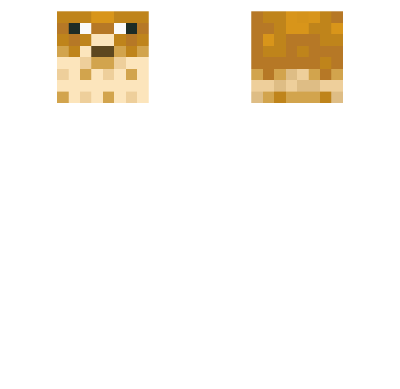 Zooofz Minecraft skin, front and back view