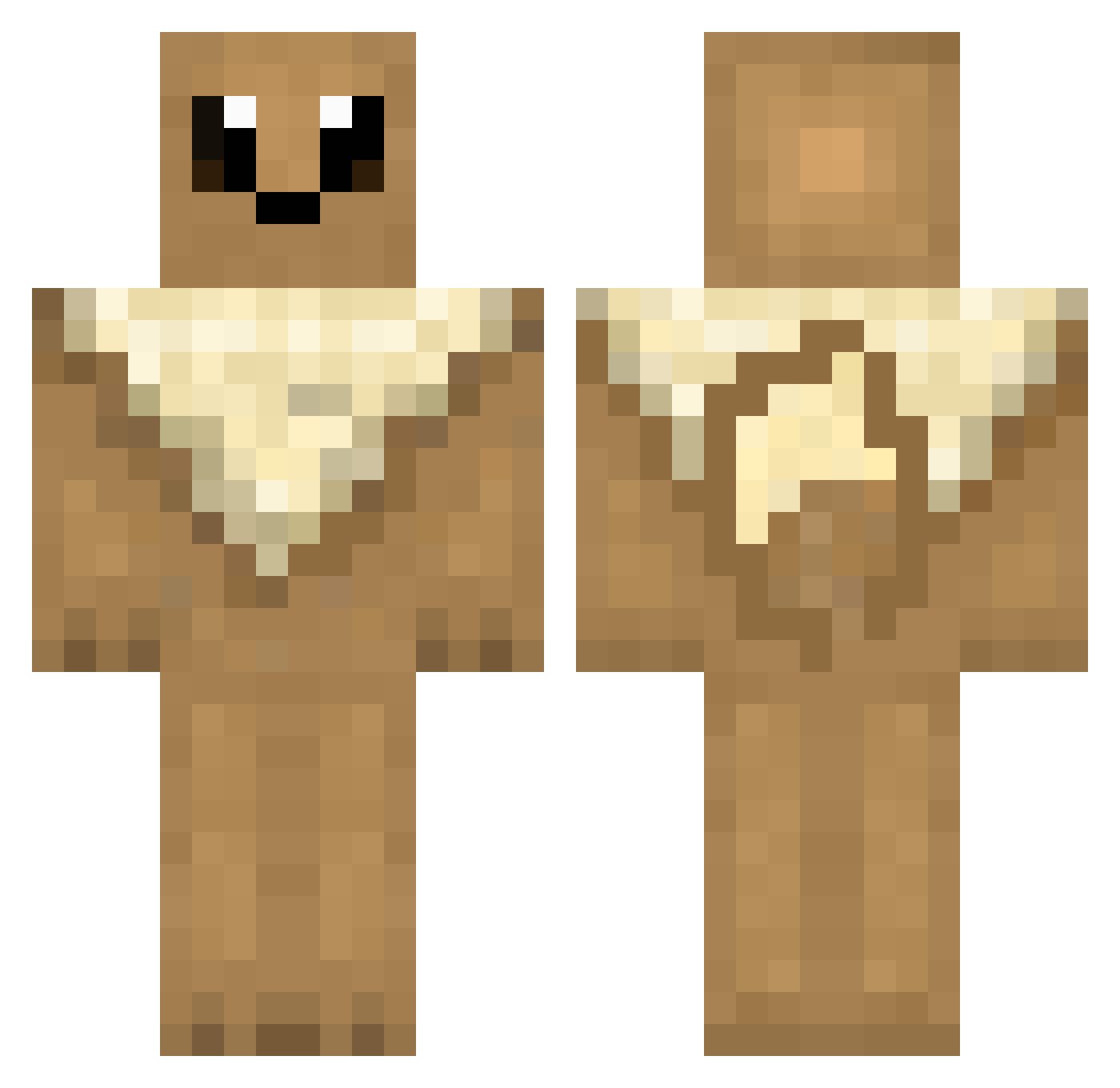 Anirataak Minecraft skin, front and back view