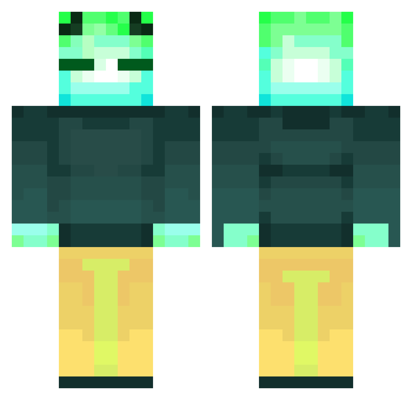 tybeewo Minecraft skin, front and back view
