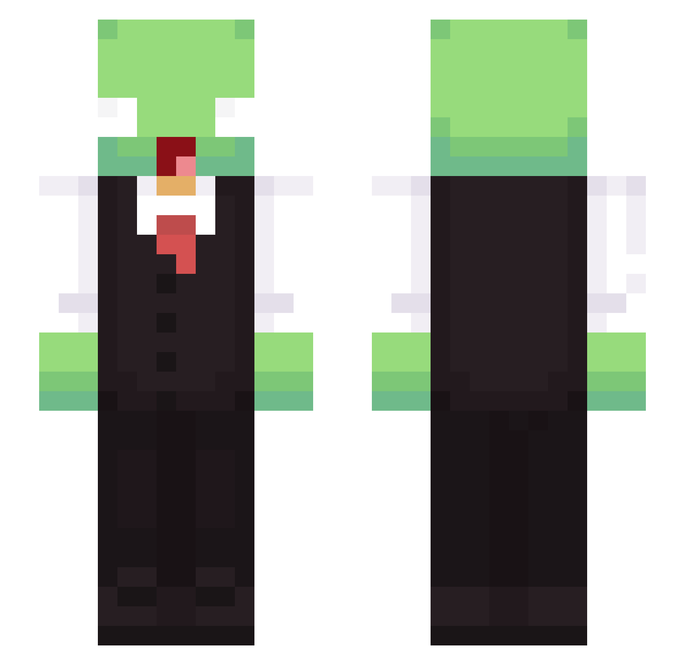 MCTurtle_14 Minecraft skin, front and back view