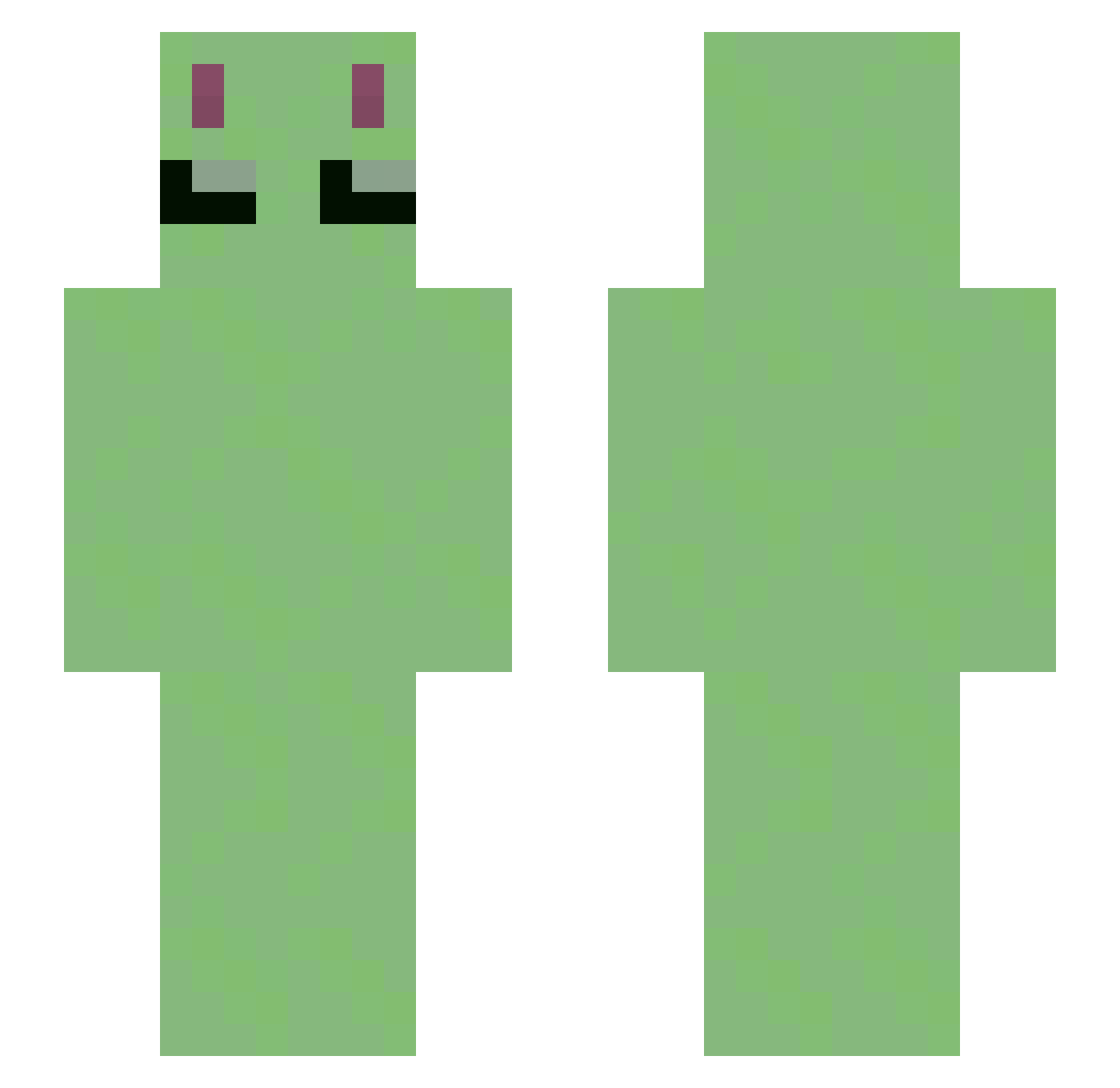 tallynukes Minecraft skin, front and back view