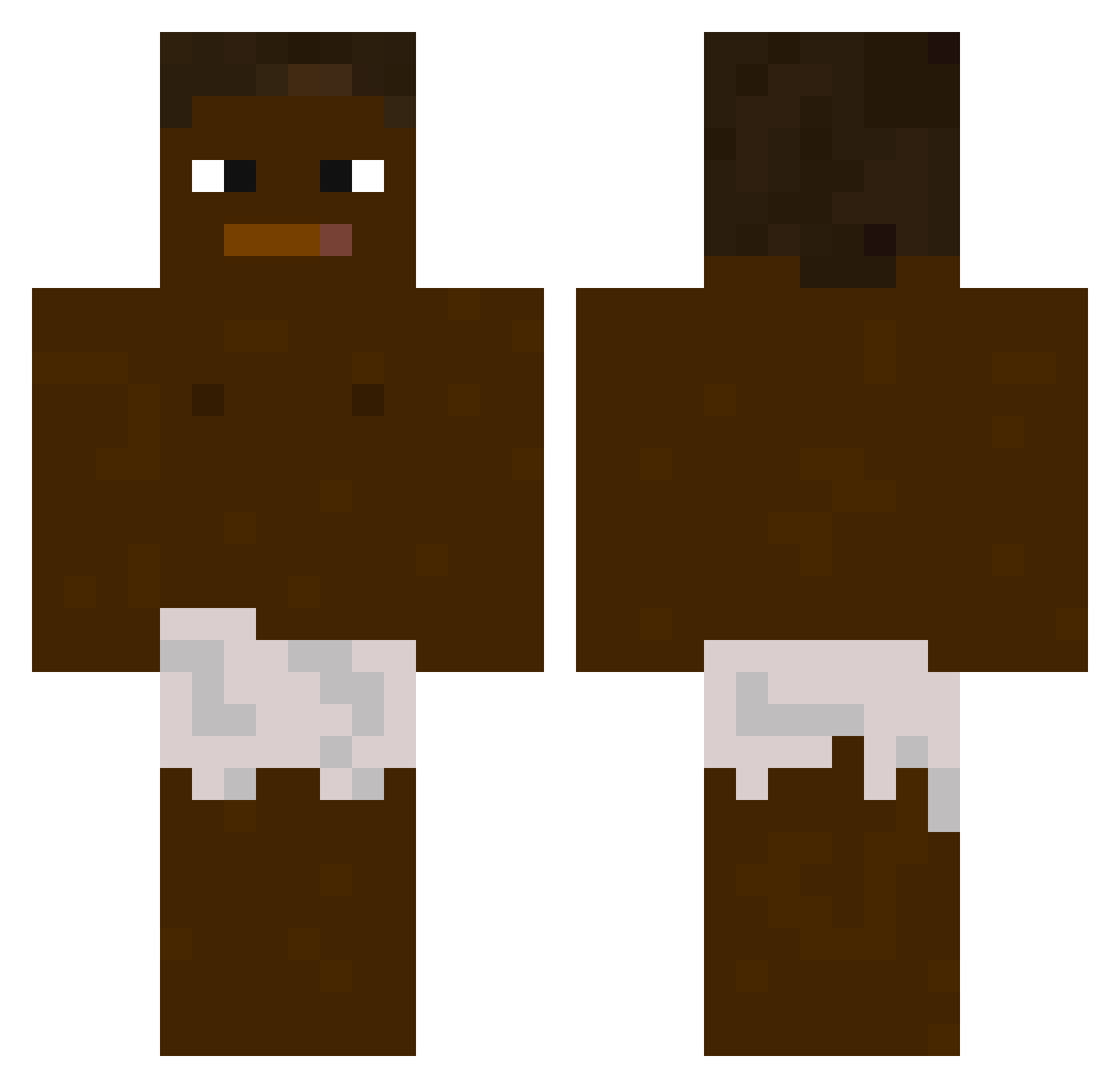 QEHK Minecraft skin, front and back view