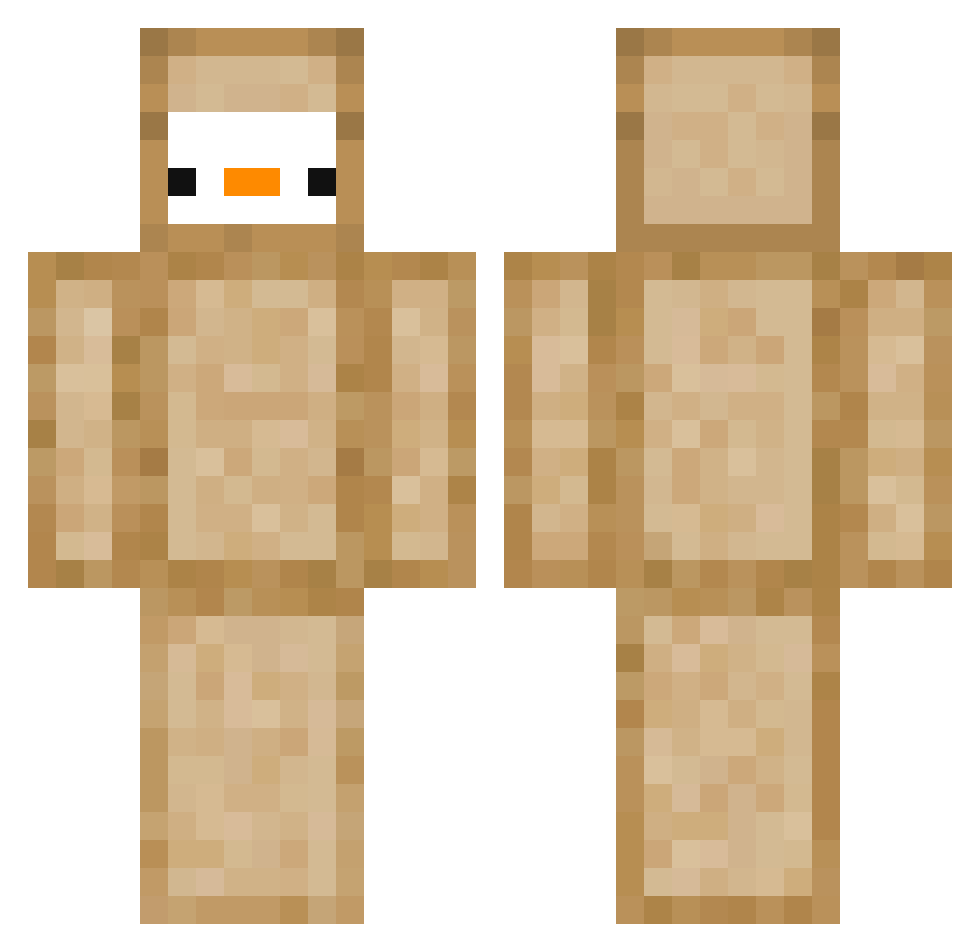 Evenizer20 Minecraft skin, front and back view