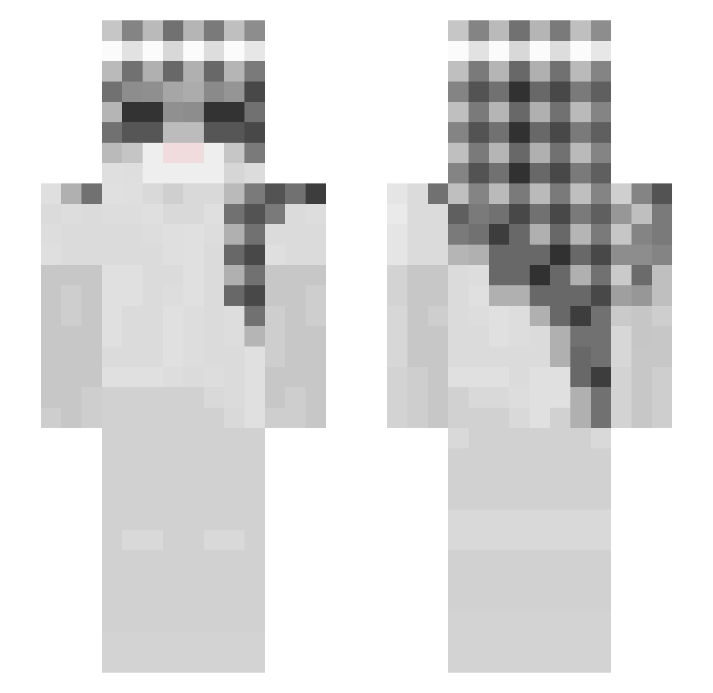 Shinwonryuu Minecraft skin, front and back view