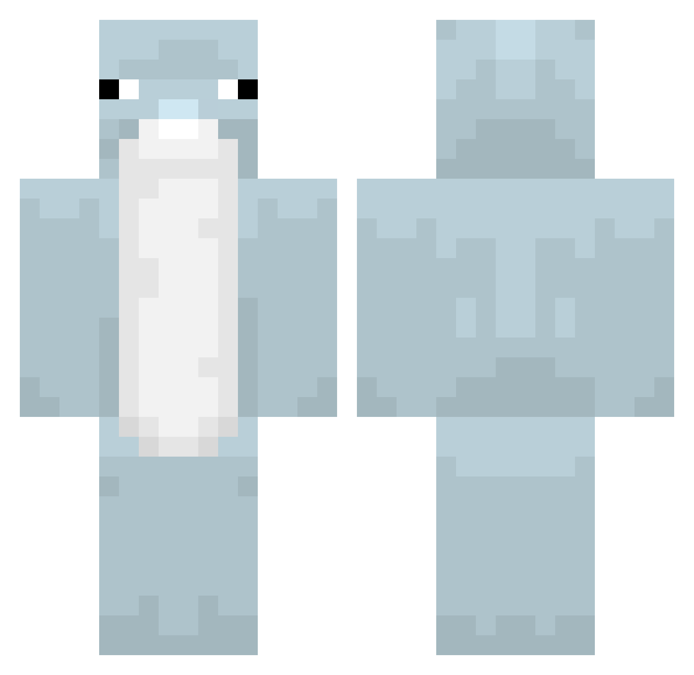 Acunl Minecraft skin, front and back view