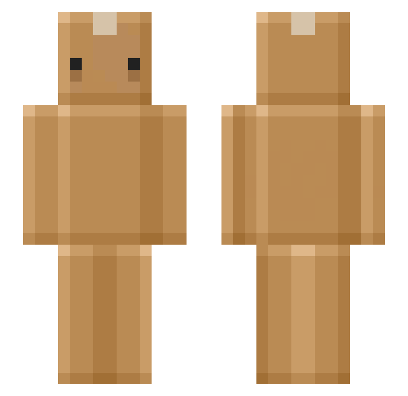 Regi_thelecky Minecraft skin, front and back view