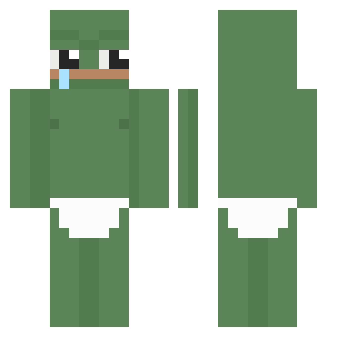 weiner445 Minecraft skin, front and back view