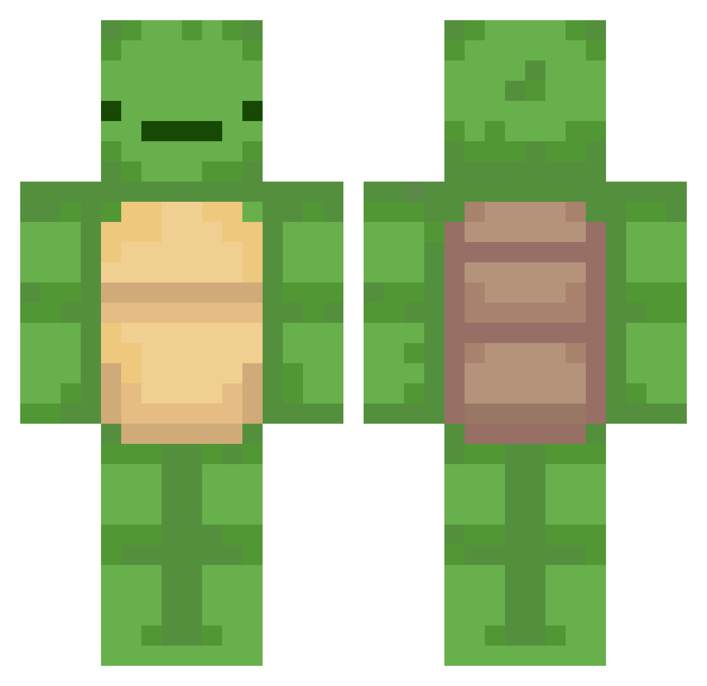 turtle2YT Minecraft skin, front and back view
