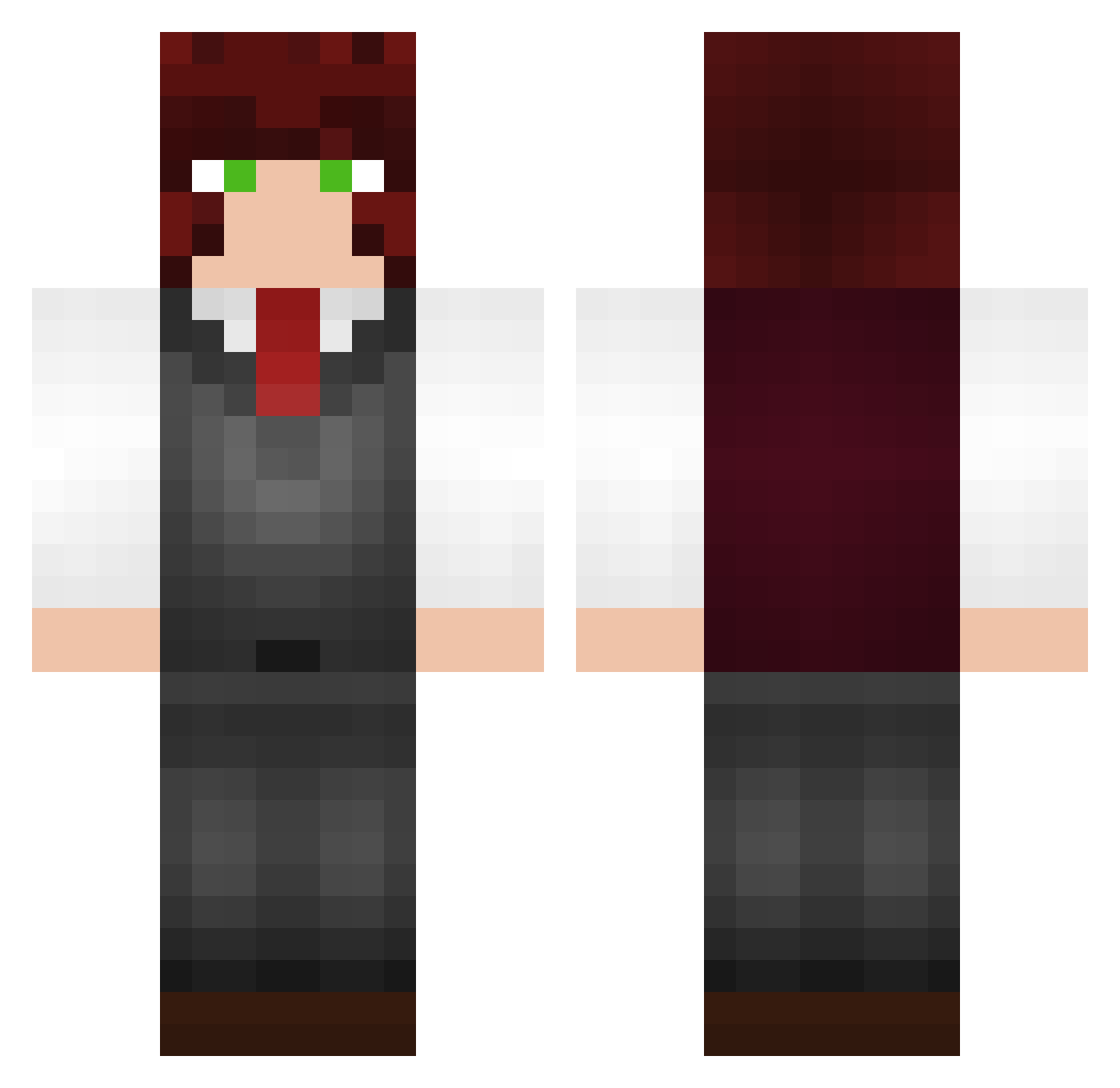 Mr_toiletpaper Minecraft skin, front and back view