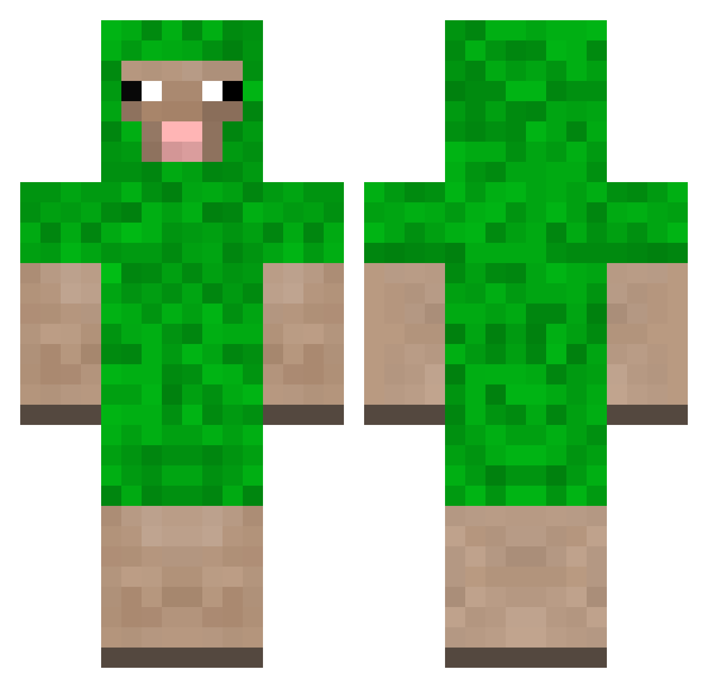 Shoor Minecraft skin, front and back view