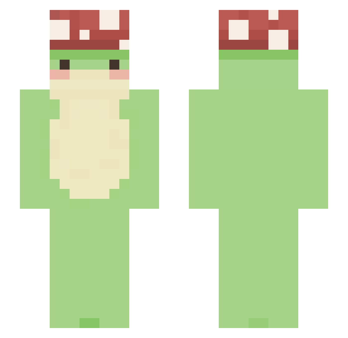 Rander_ Minecraft skin, front and back view