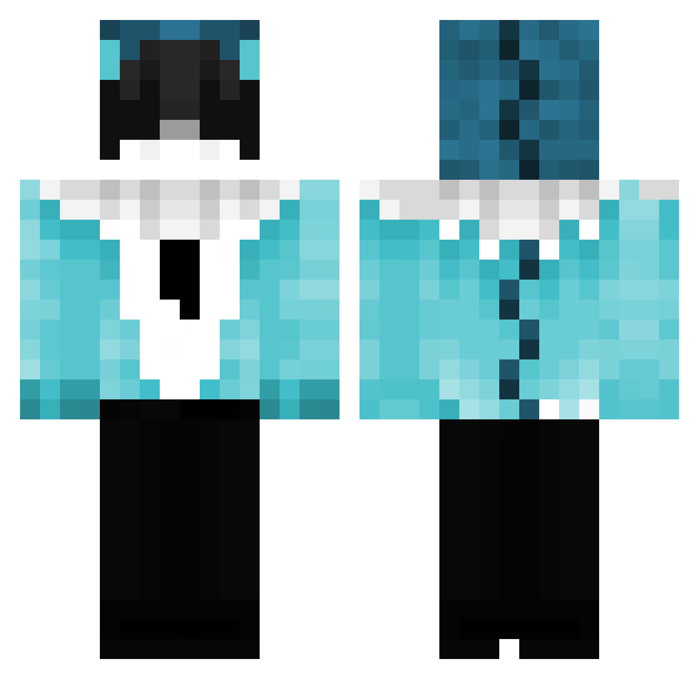 1d5 Minecraft skin, front and back view