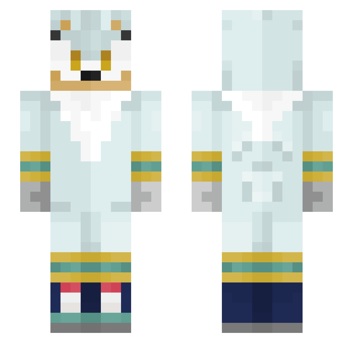 Idiotik Minecraft skin, front and back view