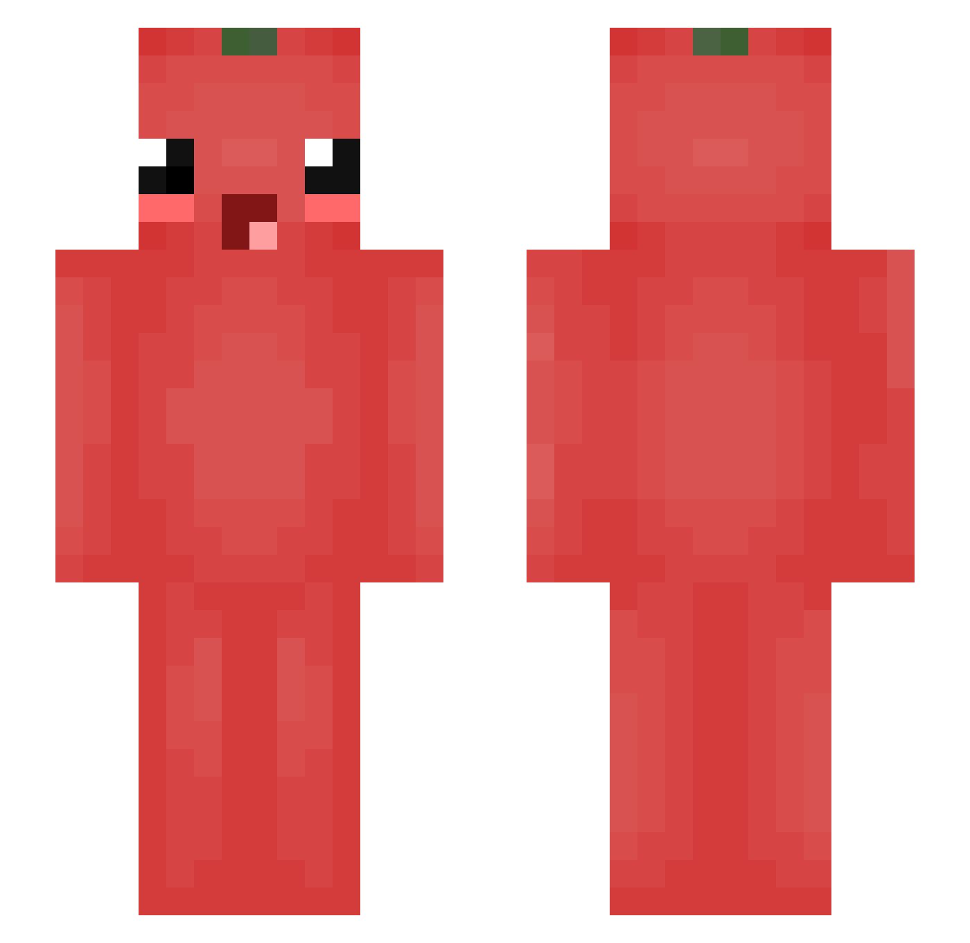 nerrocen Minecraft skin, front and back view