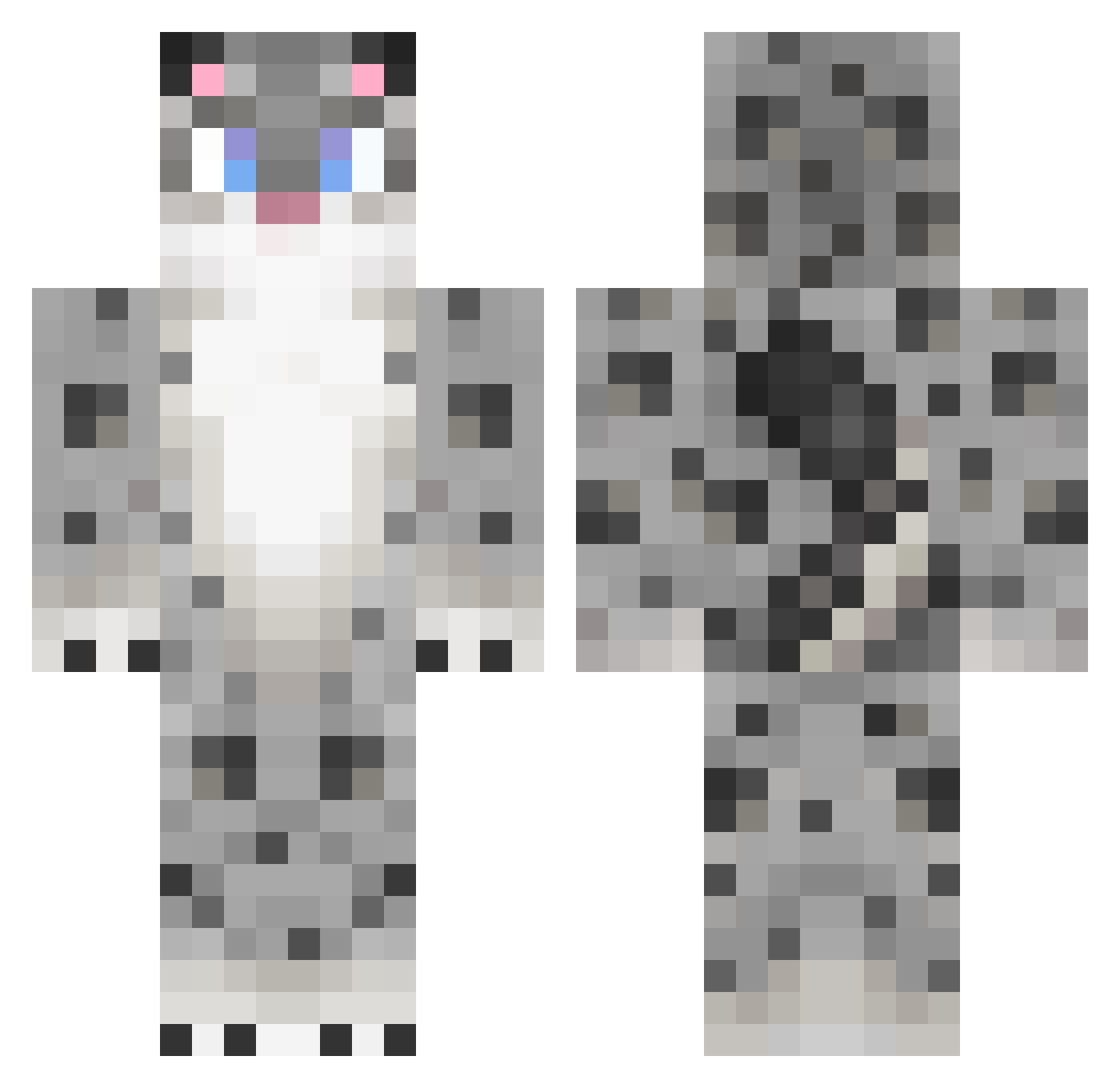 Koifish07 Minecraft skin, front and back view