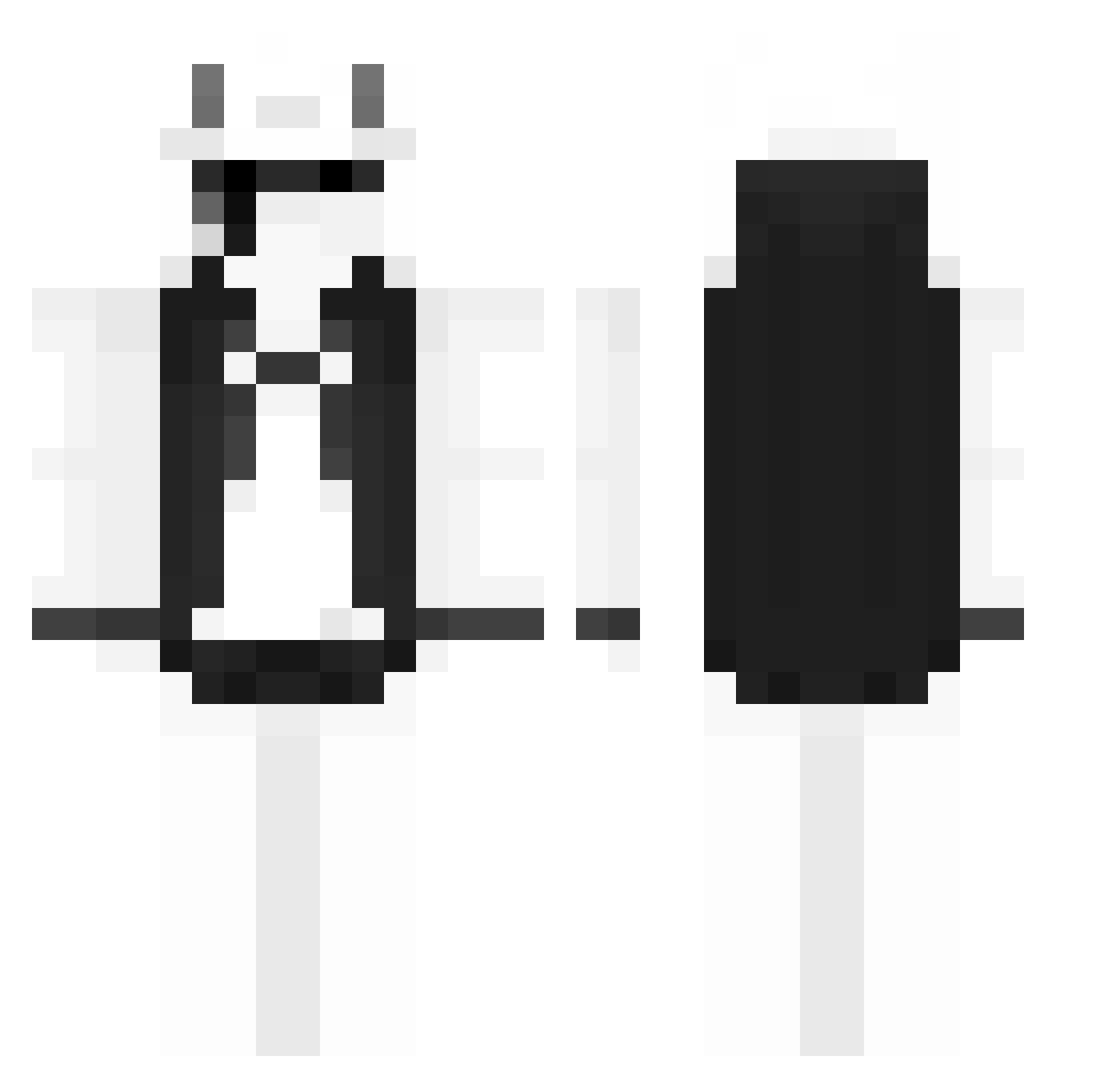 wsddgt Minecraft skin, front and back view