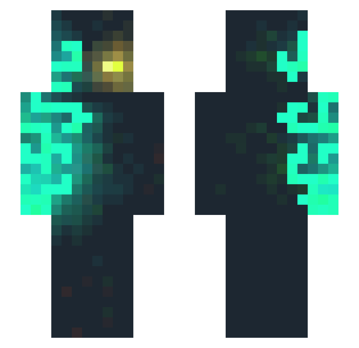 Floppiest Minecraft skin, front and back view