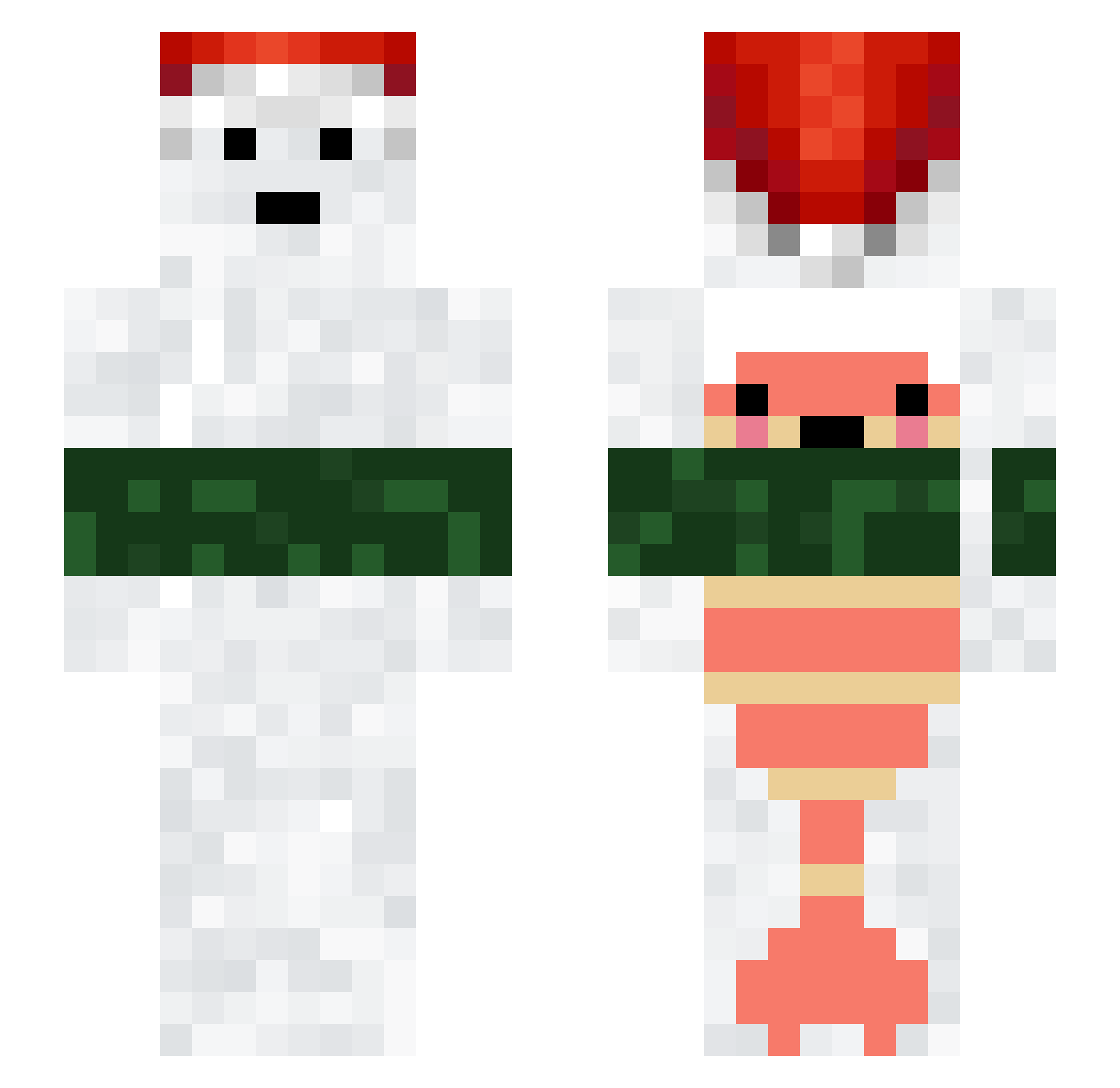 SCARINGTHEBROS Minecraft skin, front and back view