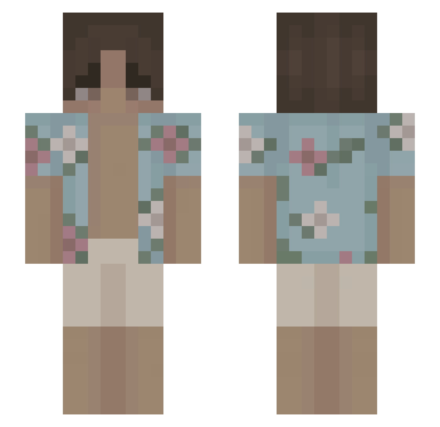 TF1_ Minecraft skin, front and back view