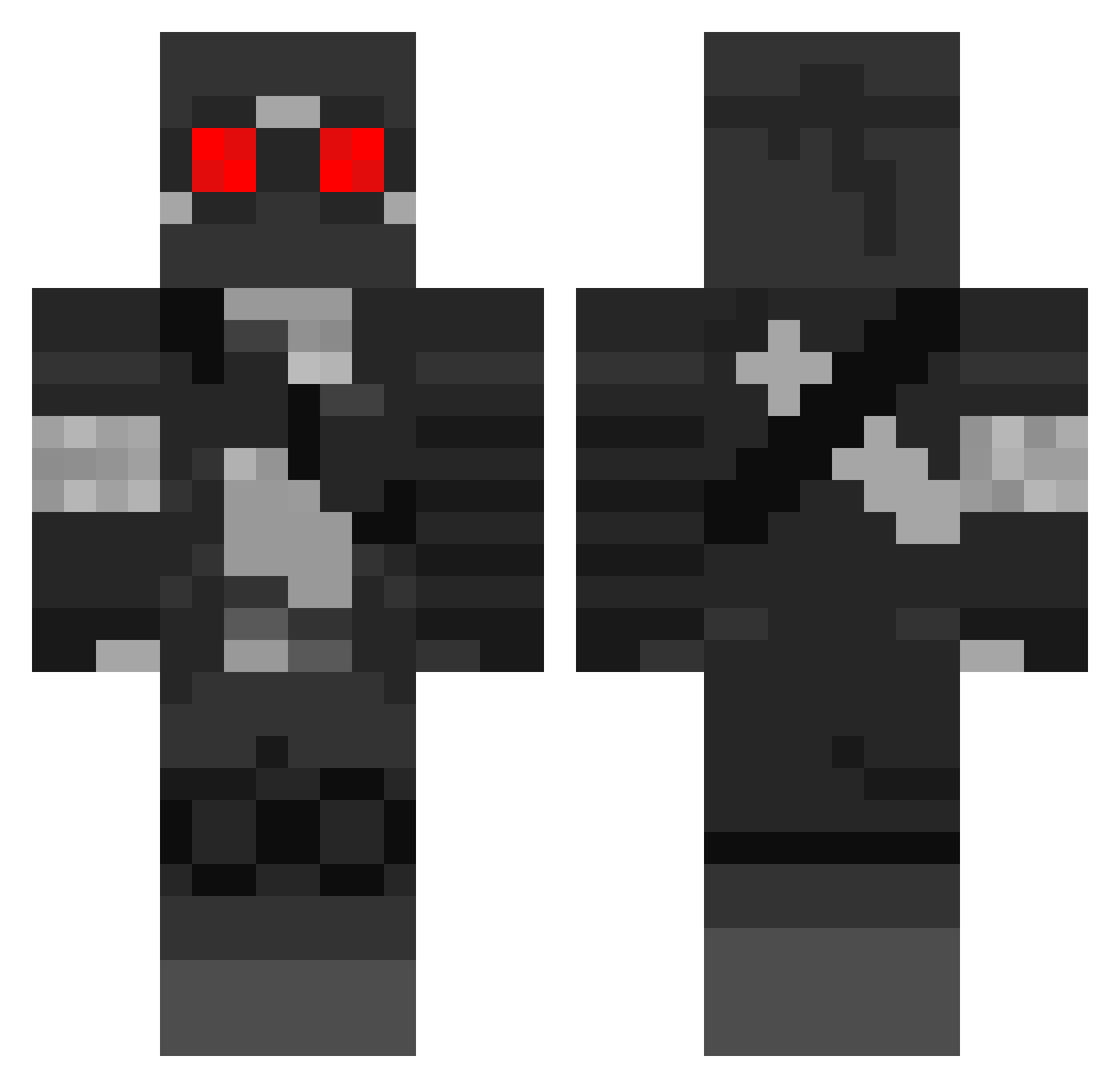 dagamerturtle21 Minecraft skin, front and back view