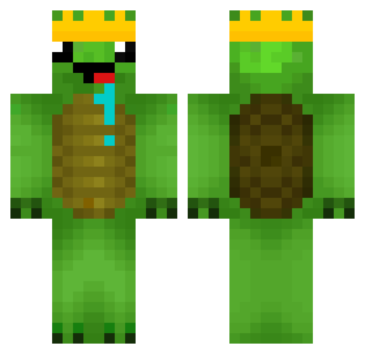 Tintindesbois Minecraft skin, front and back view