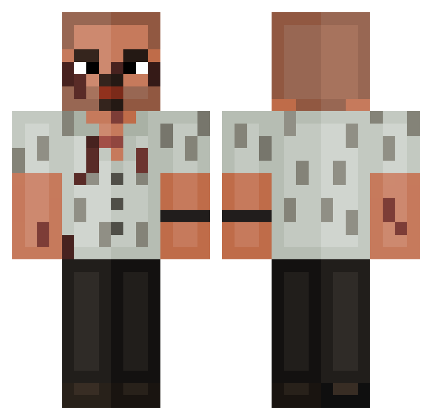Nipabo Minecraft skin, front and back view