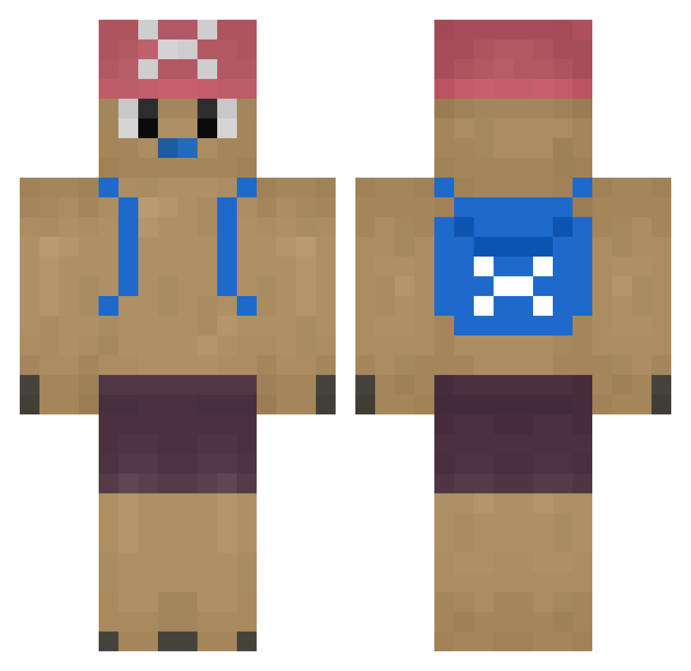 Williboy208 Minecraft skin, front and back view