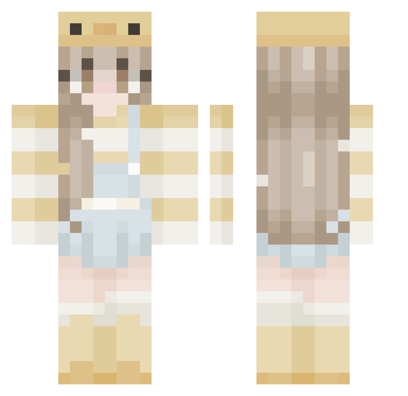 Diodontidae Minecraft skin, front and back view