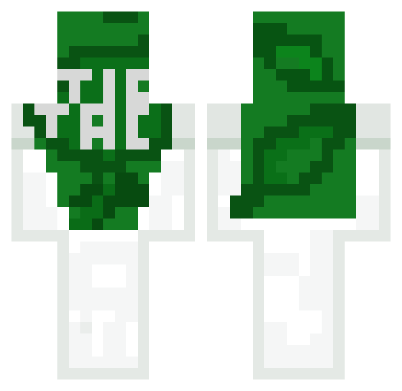 TicTac171 Minecraft skin, front and back view