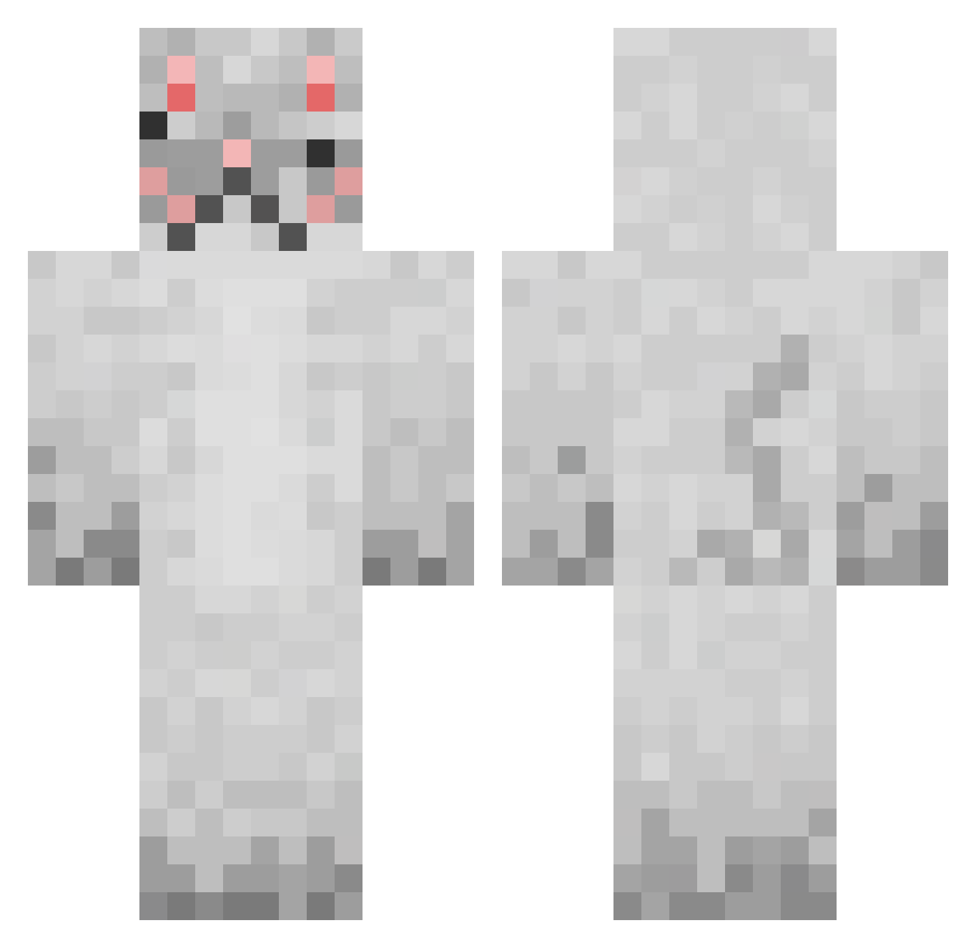 Bloobkat Minecraft skin, front and back view