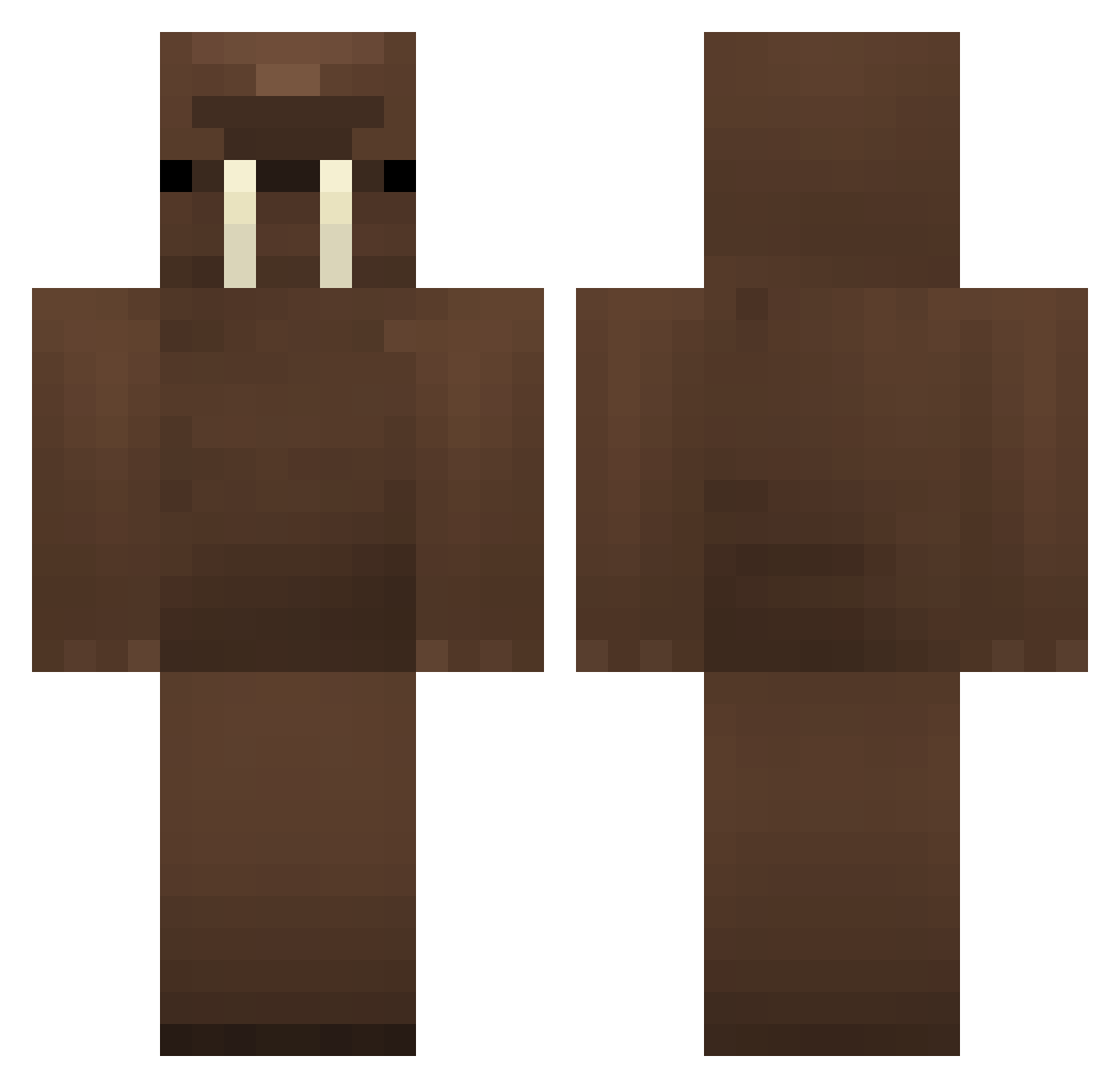 TylerWyler8 Minecraft skin, front and back view
