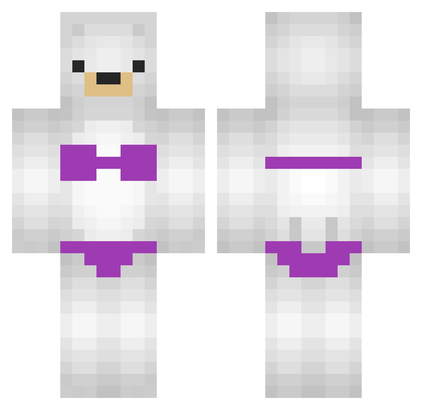 Shanenap87 Minecraft skin, front and back view