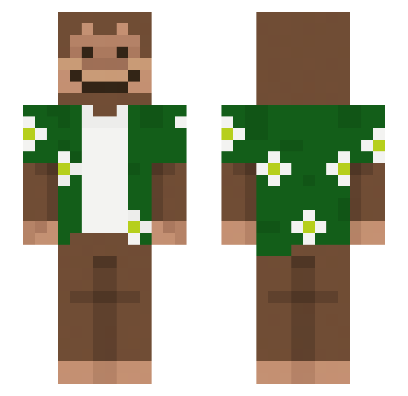 tekkenw Minecraft skin, front and back view