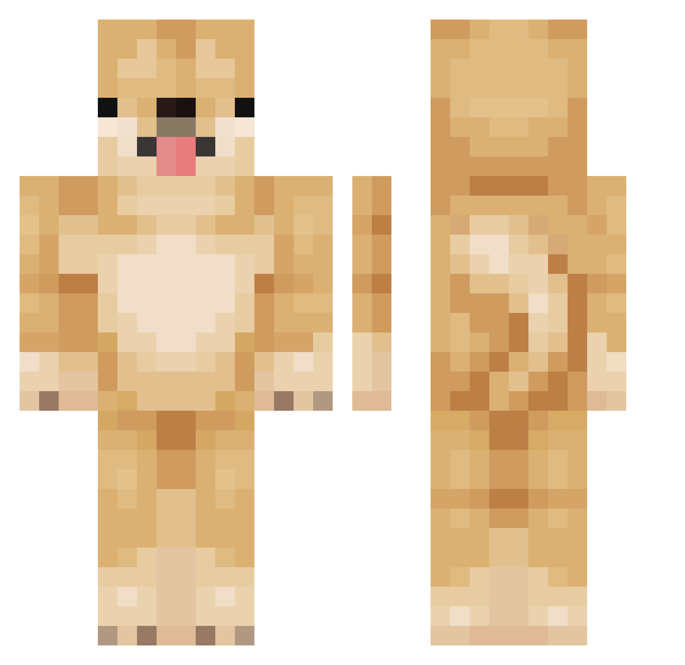 GotDark Minecraft skin, front and back view