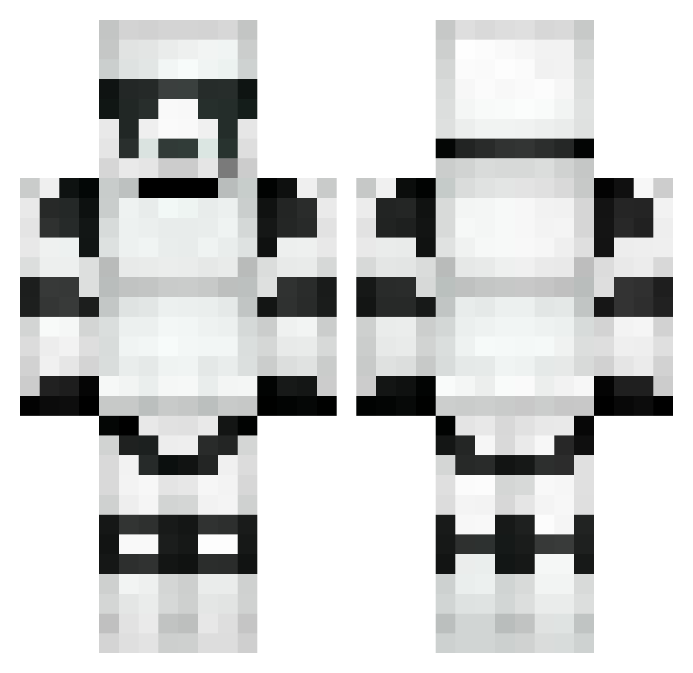 _Pane Minecraft skin, front and back view