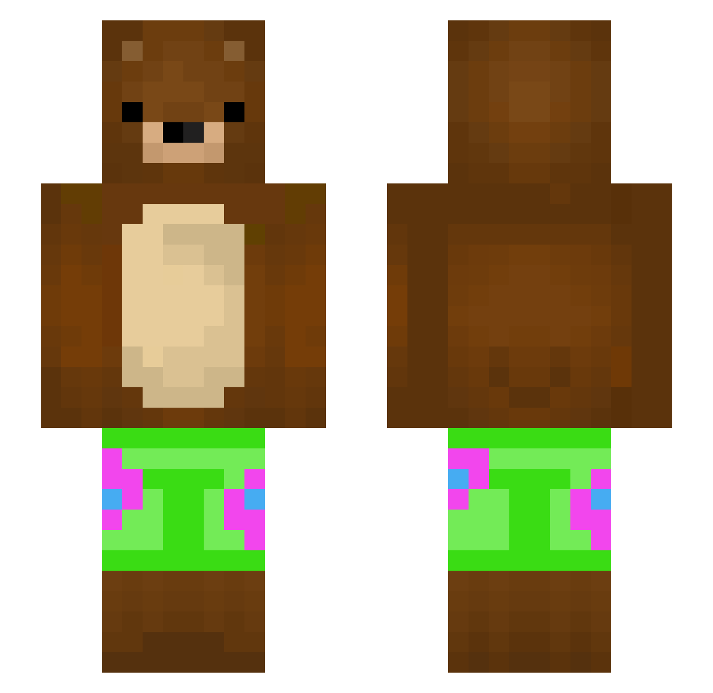 wvvm Minecraft skin, front and back view