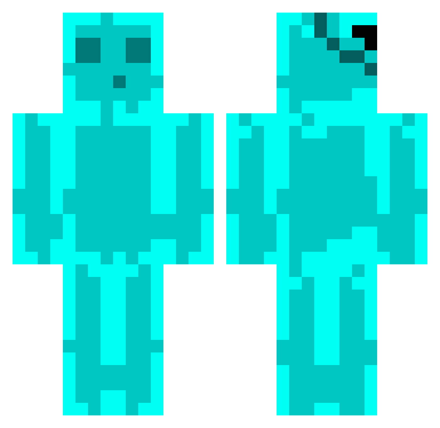 WarpFAH Minecraft skin, front and back view