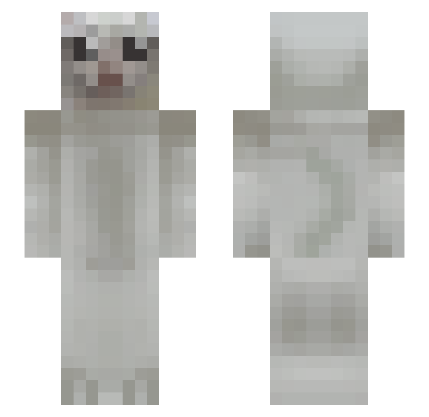 Tegular Minecraft skin, front and back view
