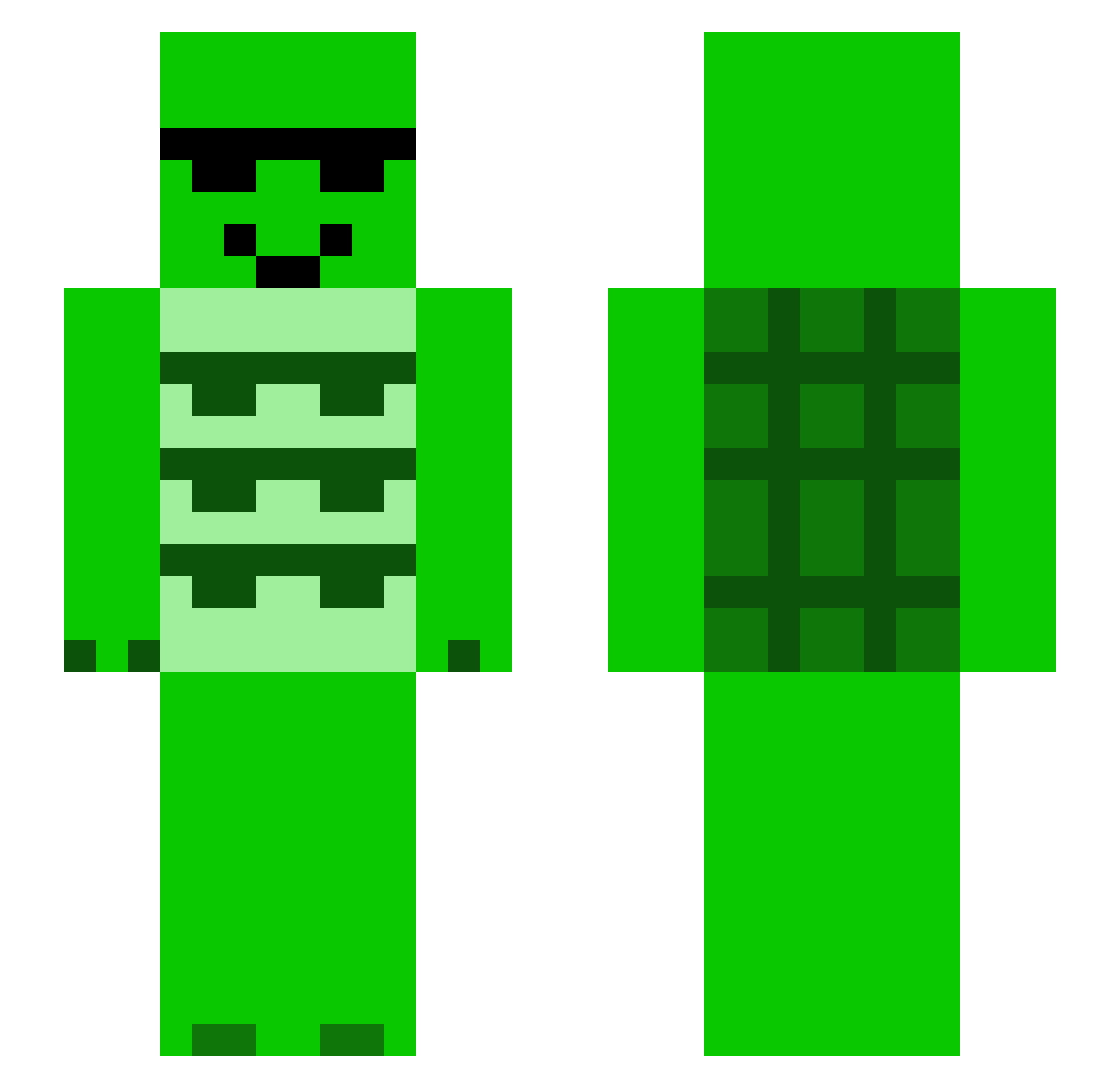 evil_turtle Minecraft skin, front and back view